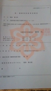 huy 007.JPG