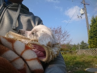 maru 005.jpg